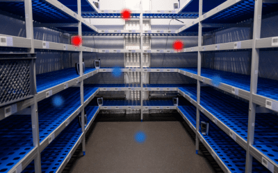 The Critical Role of Temperature Mapping in ICH Stability Storage